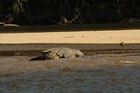 IMG_2932