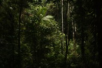 IMG_2903