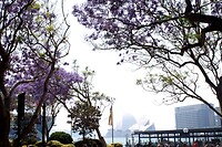 IMG_3108