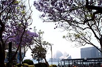 IMG_3107