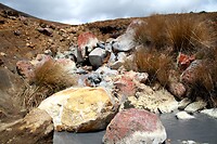 IMG_3427