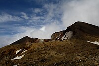 IMG_3387