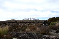 IMG_3481
