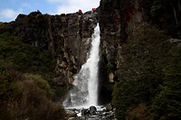 IMG_3468