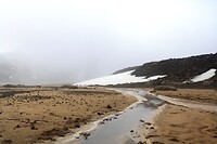 IMG_3334