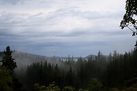 IMG_3558