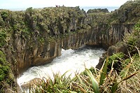 IMG_3566