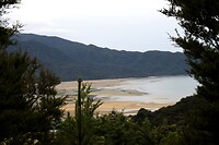 IMG_3559