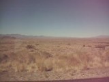 oatman 003