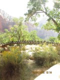 Dag 4 Zion NP 030