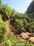 Dag 4 Zion NP 038