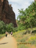 Dag 4 Zion NP 049