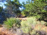 mesa verde 024