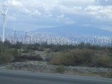 windmolenpark