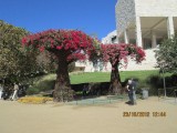 getty center 013