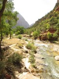 Dag 4 Zion NP 028