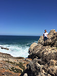 Hermanus