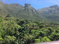 Kirstenbosch