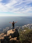 Lion's head
