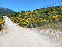 Pollino np