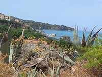 Tropea