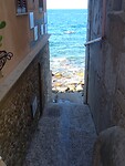 Canalea