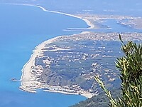 Palmi