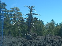 Etna tour