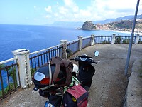 Scilla schaft!