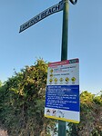 Yellyfish is gevaarlijk