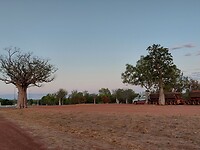 Kununurra