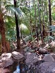 Zebedee springs