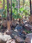 Zebedee springs