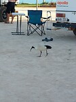 Visite op de camping