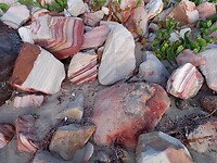 Aan het strand van Broome