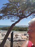 Port Hedland haven