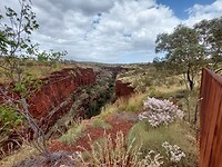Oxer lookout