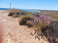 Cape Range