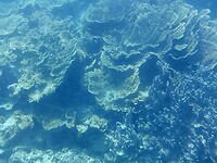 20221008_093800