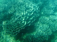 20221008_093517