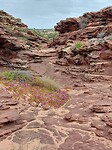 Bij Red Bluff
