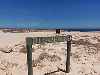 IMG-20240218-WA0011