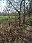IMG_20230415_115159960