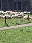 IMG_20230418_103539036