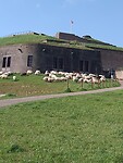 IMG_20230418_103533127_MP