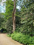 IMG_20230517_110523536_HDR
