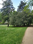 IMG_20230517_110502021_HDR