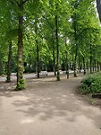 IMG_20230517_110425509_HDR