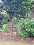 IMG_20230517_110044226