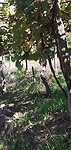 IMG_20240913_130057143